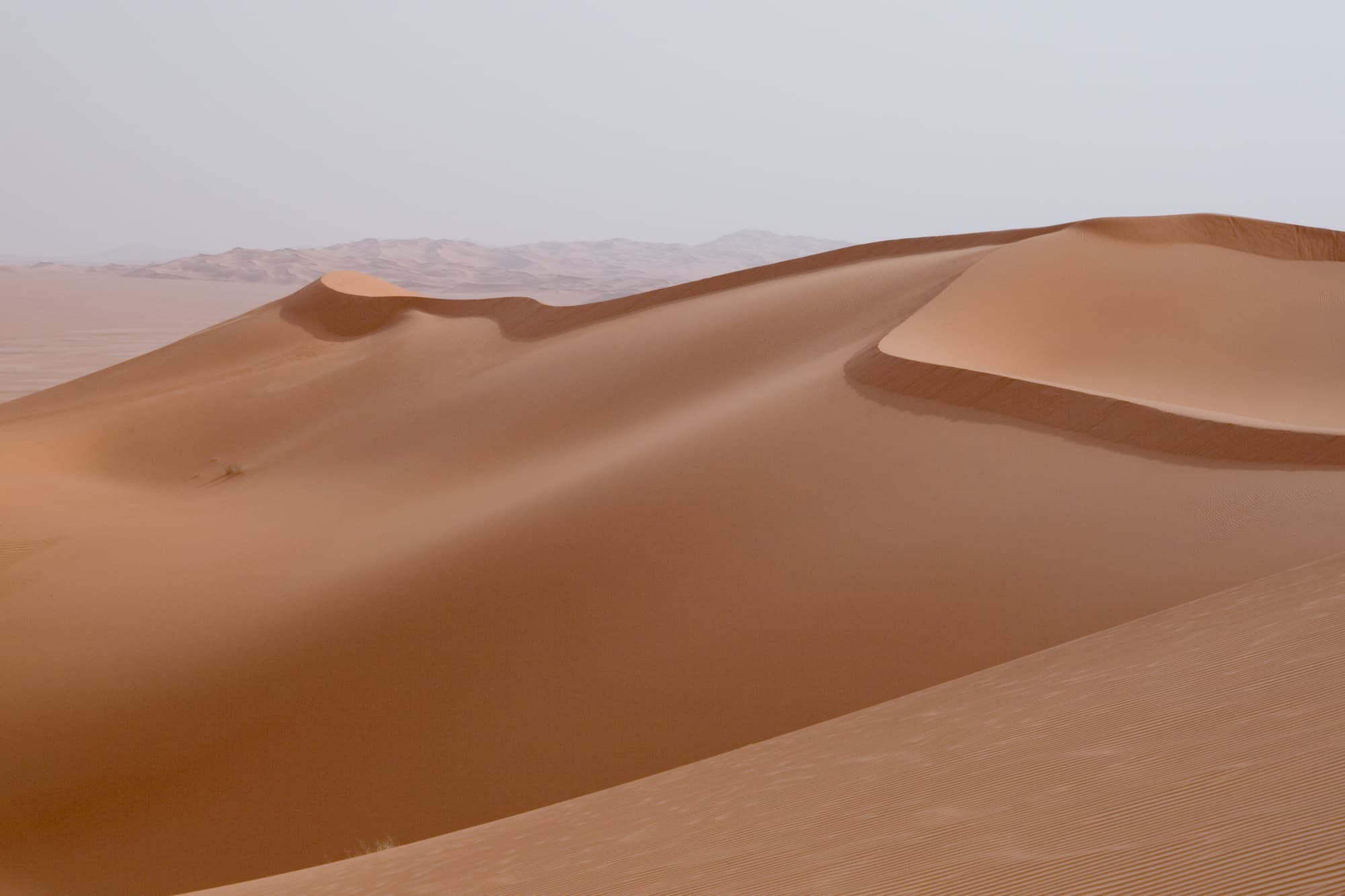 A turquoise lake edged with salt crystals and palm trees, surrounded by enormous sand dunes