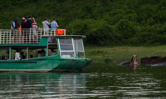 A group of hippos resting in the Kazinga Channel with only their eyes and ears above water